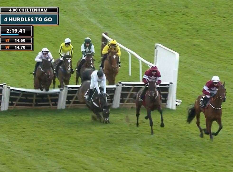 Nicky Henderson's Constitution Hill fell in the Champion Hurdle at the Cheltenham Festival - Images: ITV Racing