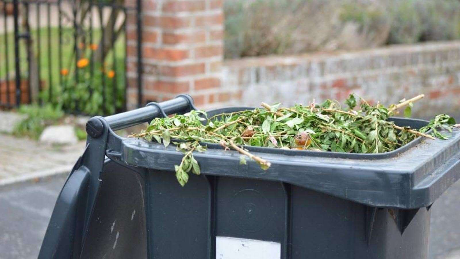 Garden waste collection has been temporarily stopped due to the HGV driver shortage.