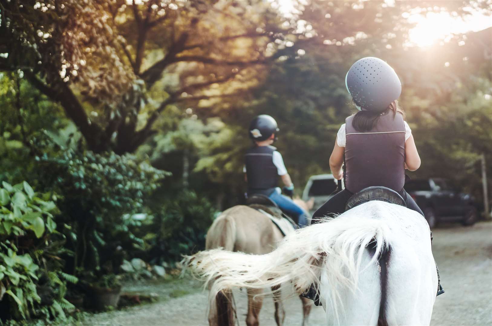 Newbury RDA helps disabled children to ride and enjoy riding's benefits (56797028)