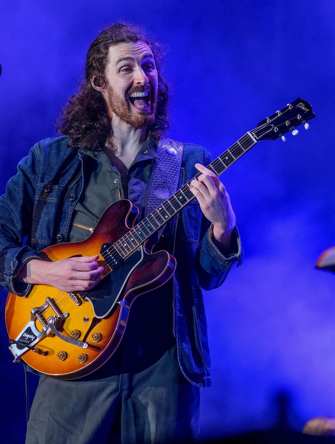 Hozier at Heritage Live at Englefield Ref: 29-1423AD