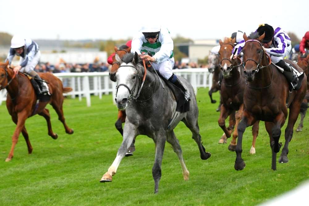 Algometer is amongst the equine stars on show on a superb day of racing at Newbury on Saturday