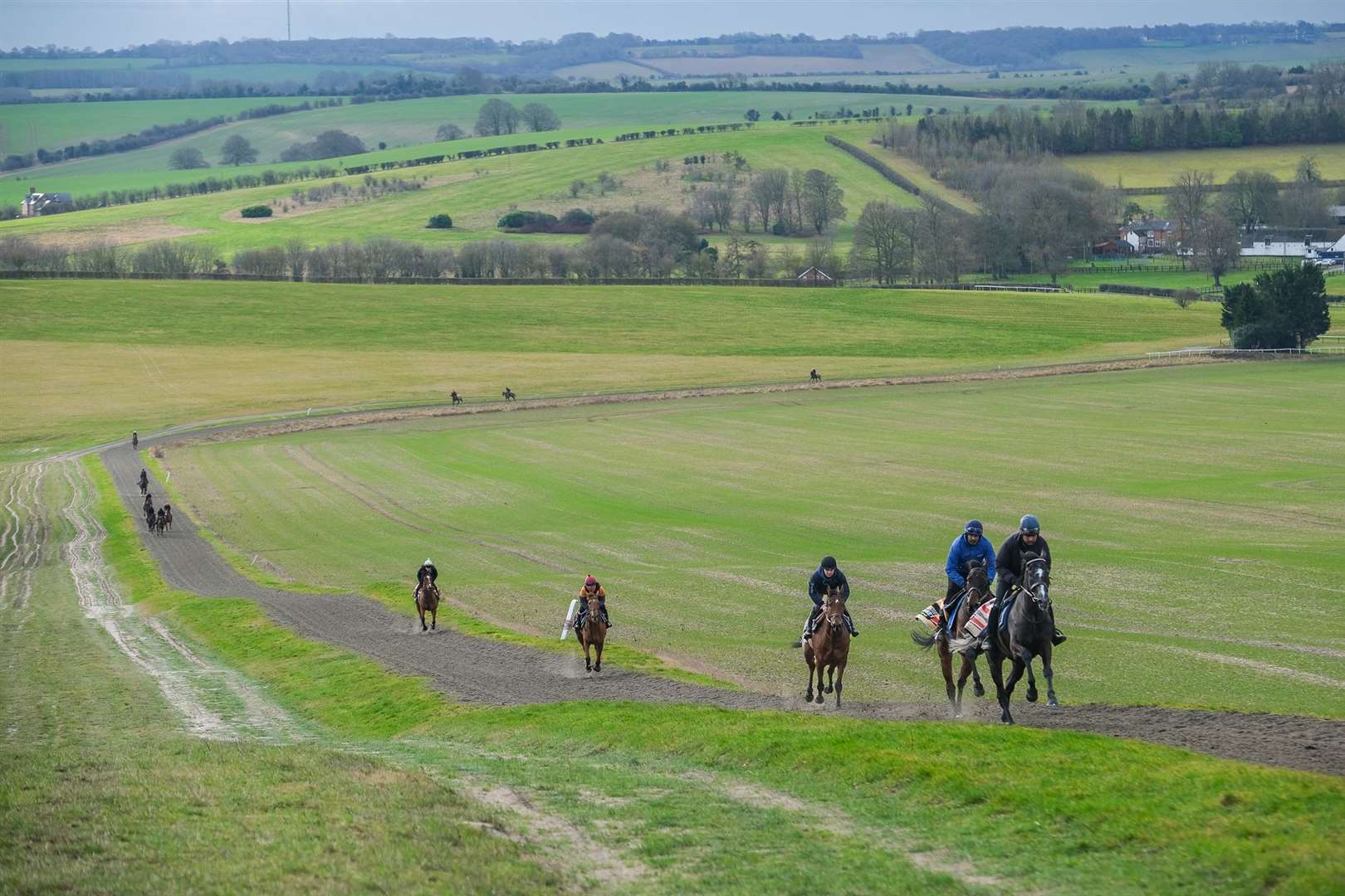 Horses on the Seven Barrows gallops