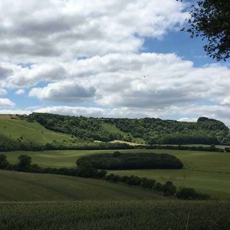 Claire Fuller's landscape