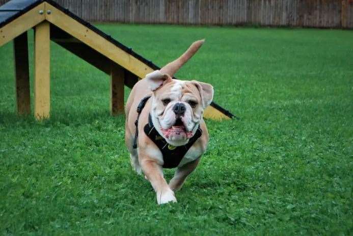 Winston