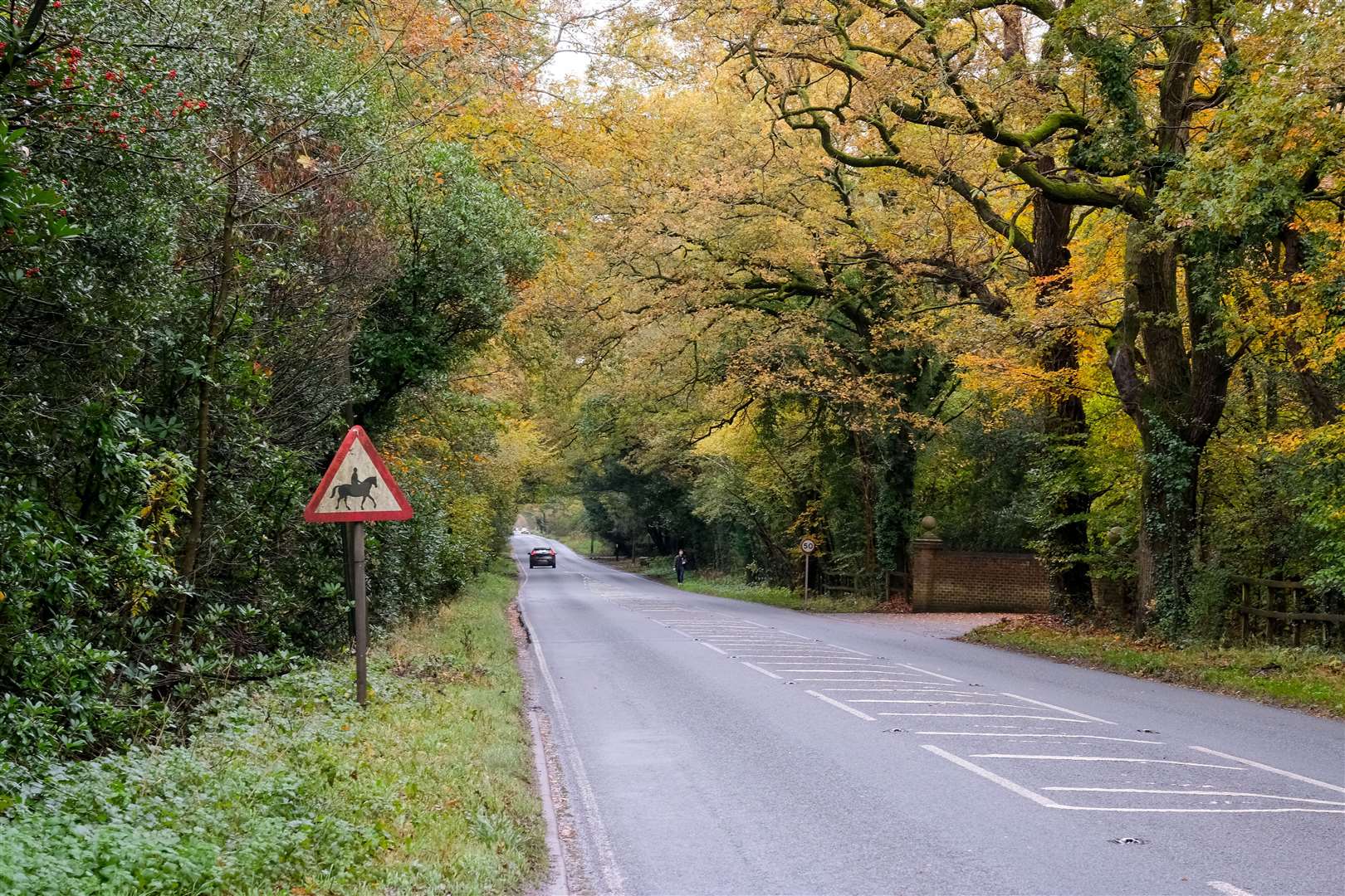 Newtown Parish Council has launched a petition to have a speed indicator device installed on the B4640 – better known as the Newtown Straight