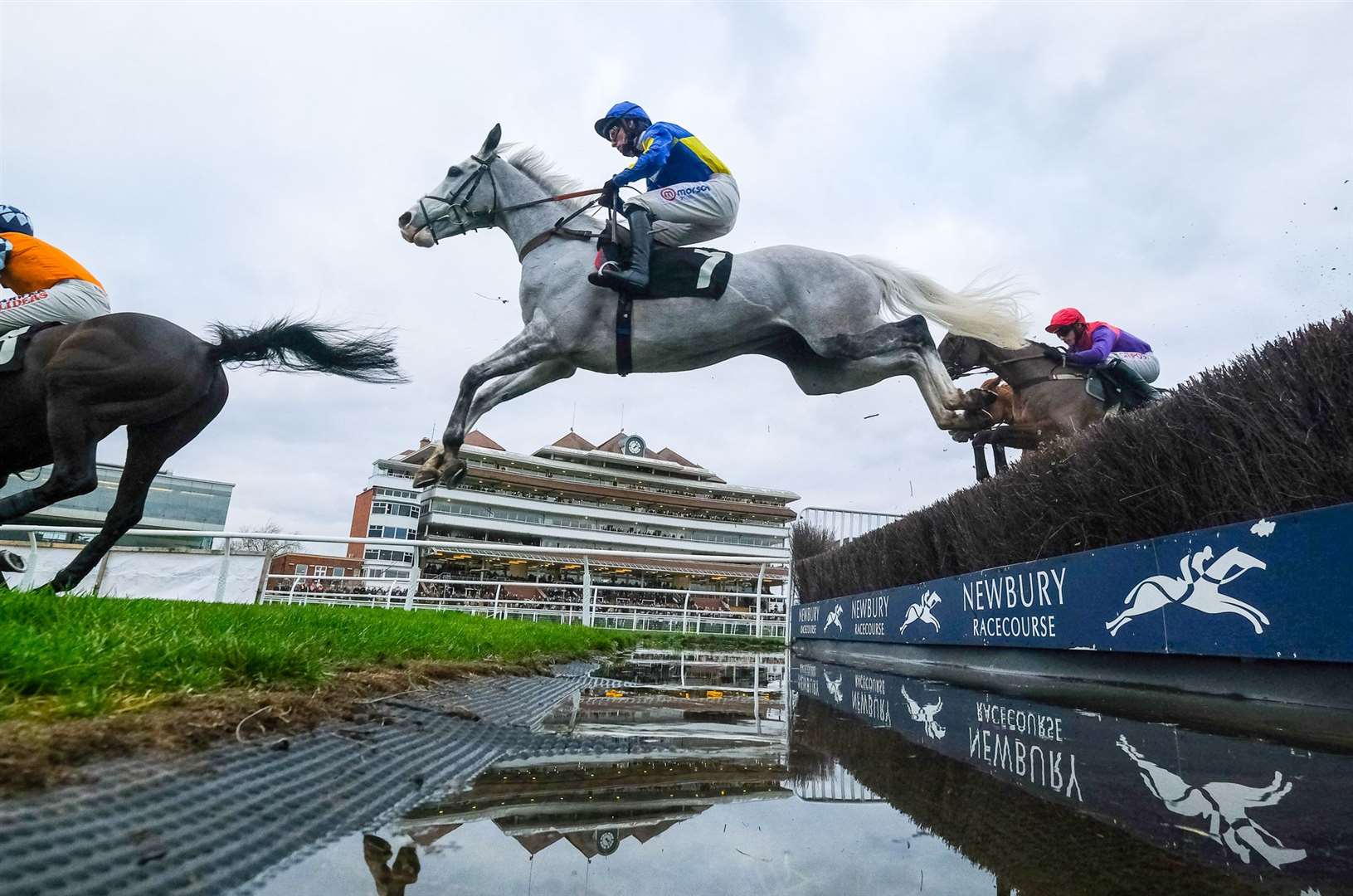 Silver Forever takes on the water jump at Newbury
