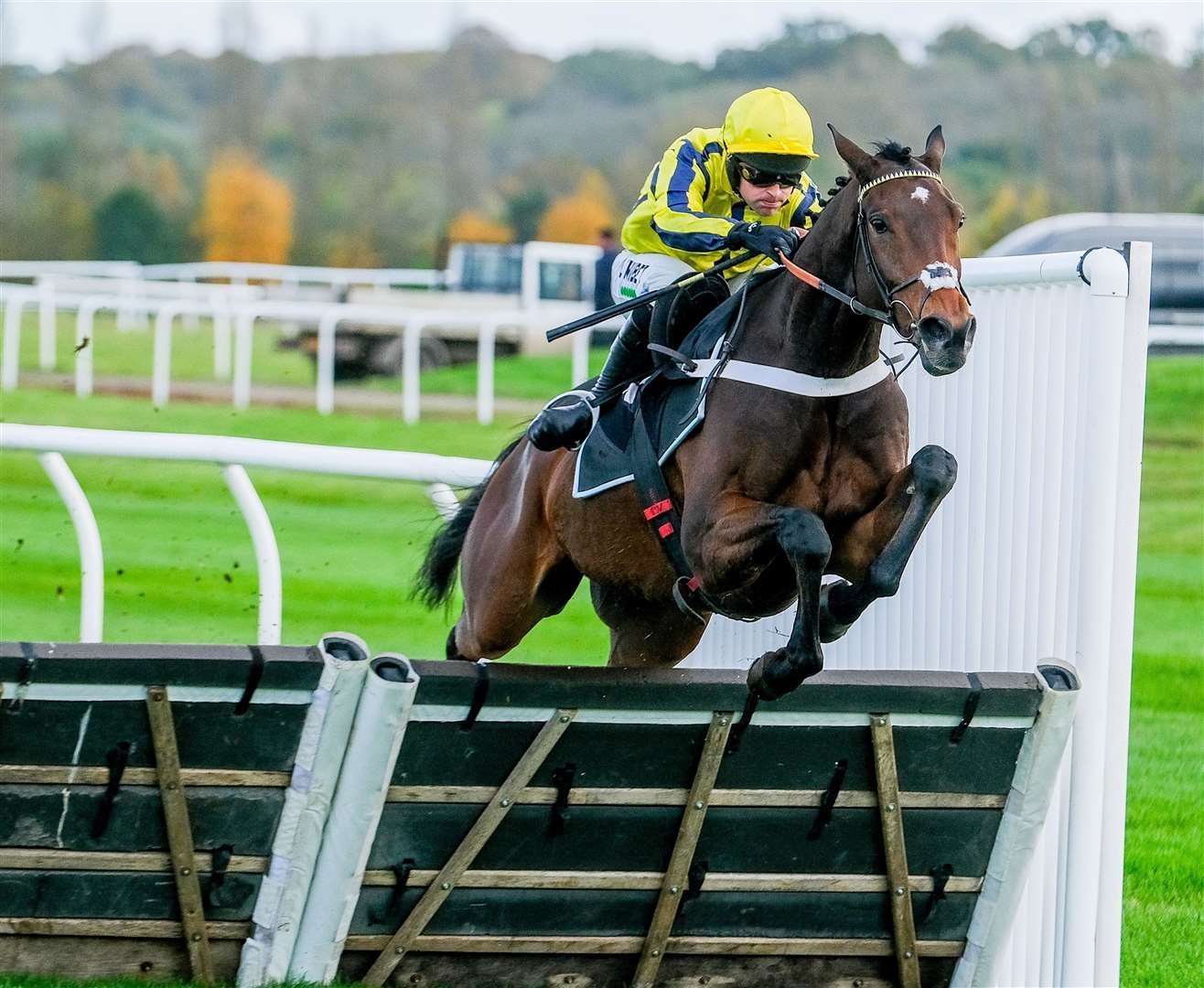 Willmount won by 13 lengths on his debut for Nicky Henderson’s yard