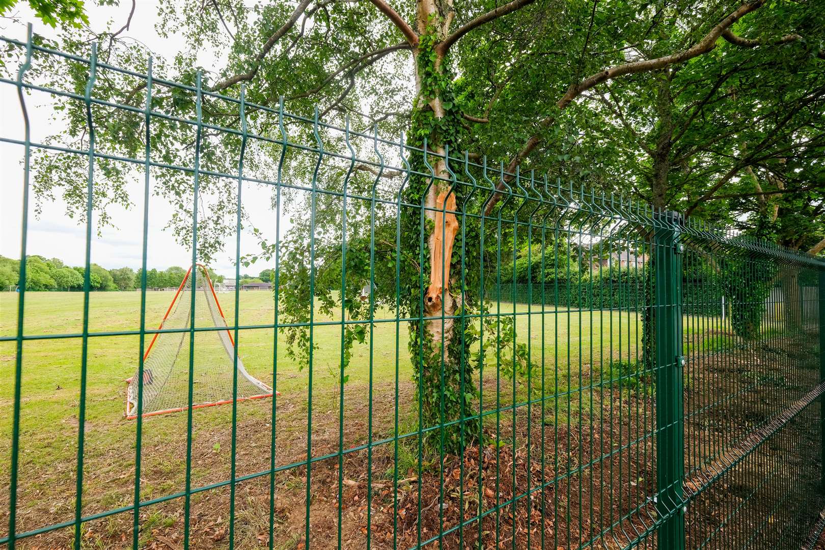 Park House contractors Barker: “We have plans to reinstate it at the earliest possible opportunity to provide screening for both the pupils and residents, as well as to maintain valued natural habitats for birds and wildlife”