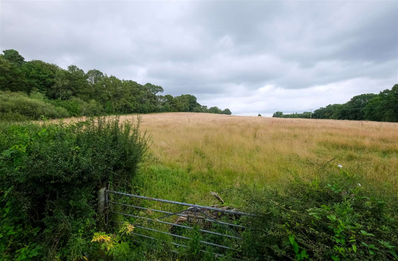 The potential solar farm site in Wash Water