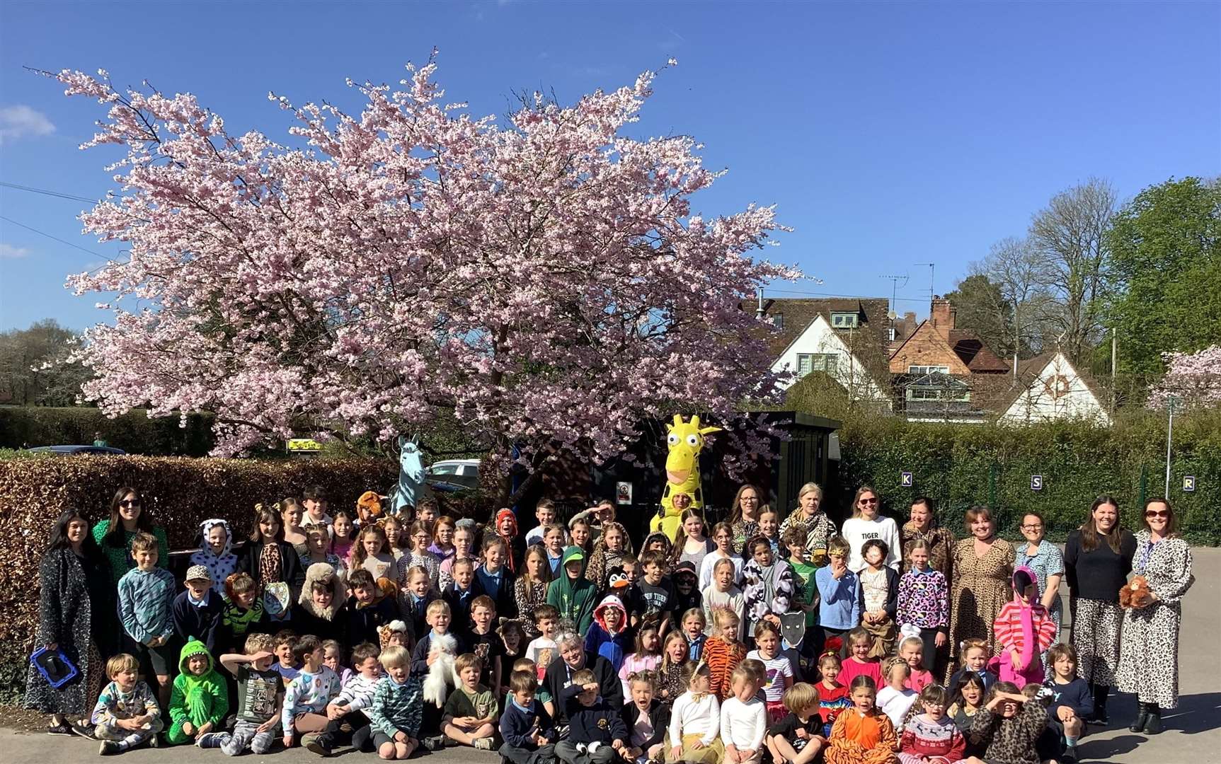 Yattendon Primary School wears it wild for WWF