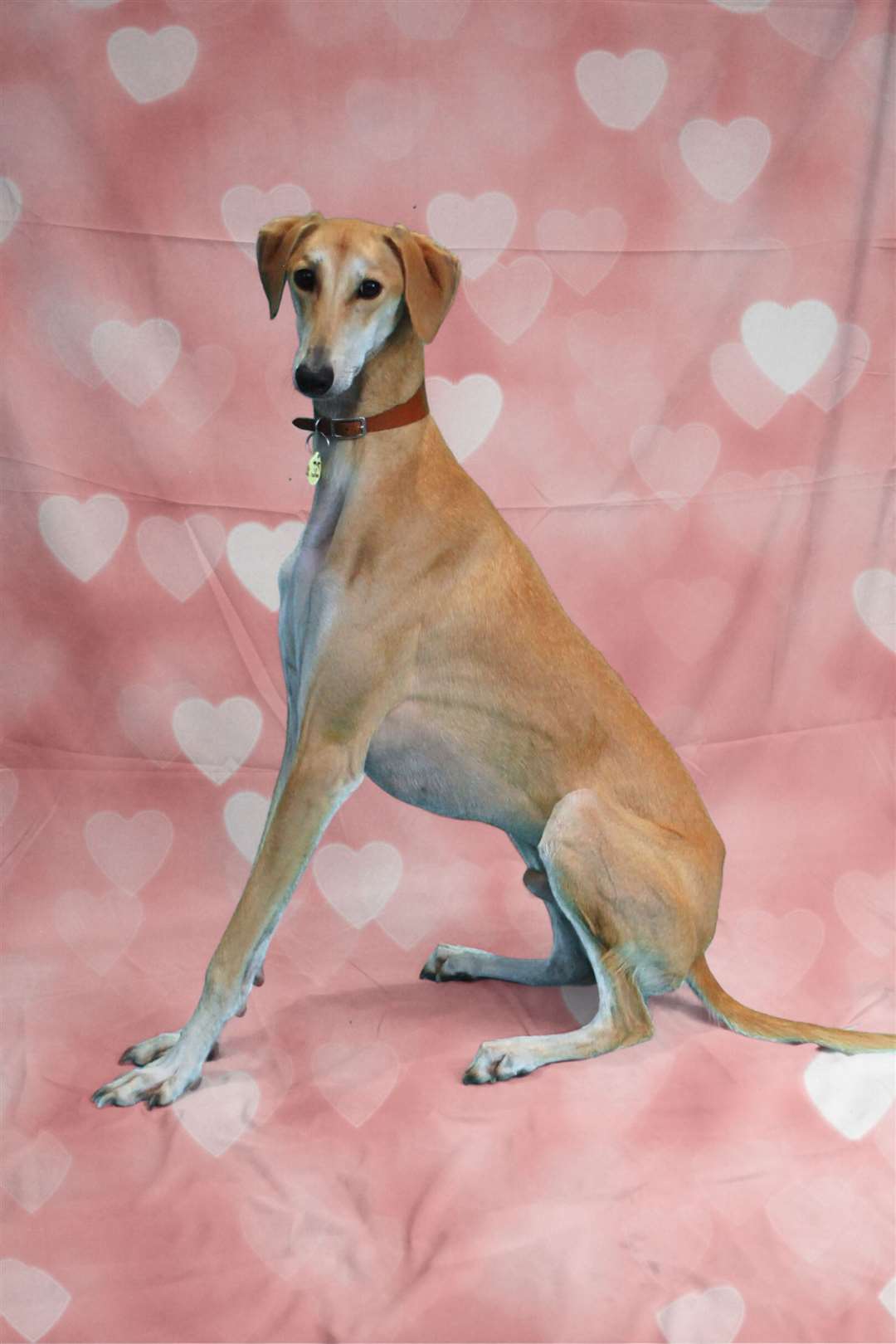 Russ is hoping to find a family to love him this Valentine's Day