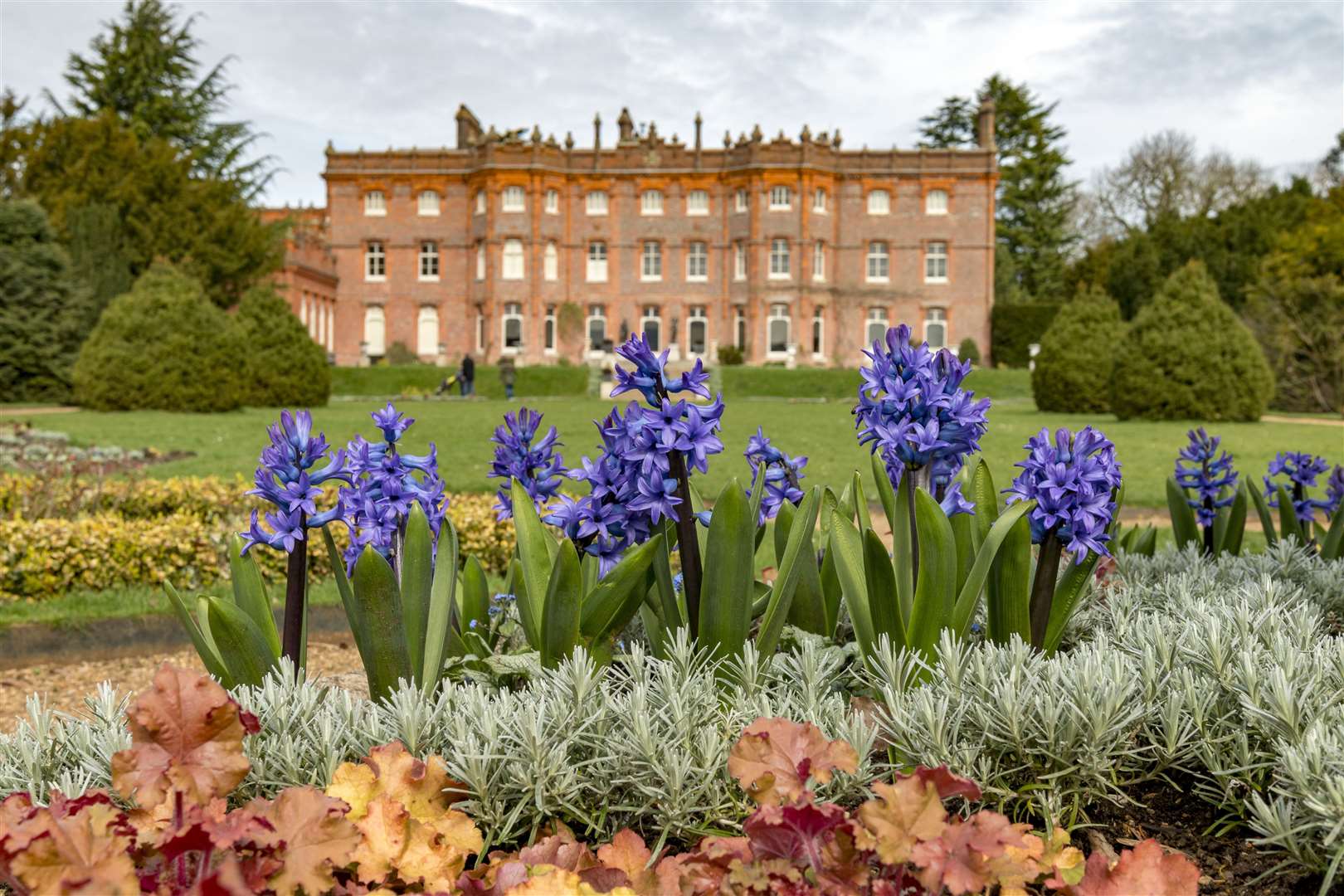 Hyacinths in the parterre at Hughenden © National Trust Picture Hugh Mothersole