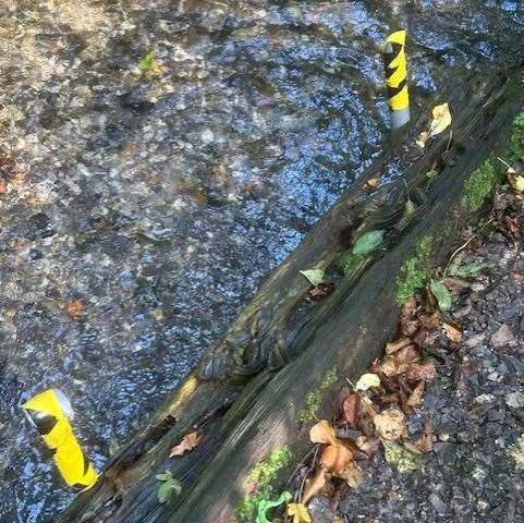 Metal stakes protruding sticking out of the water. Credit: Charlotte Sutton