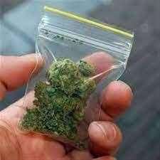 Cannabis