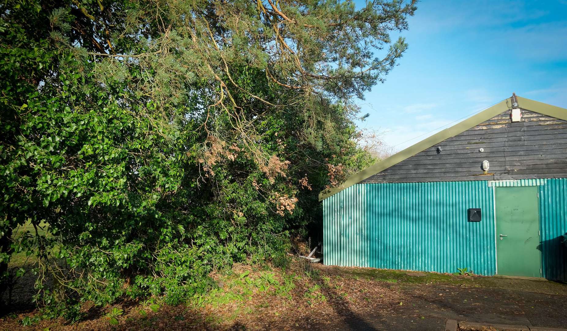 The hedge is located between the hut and Wash Common Park