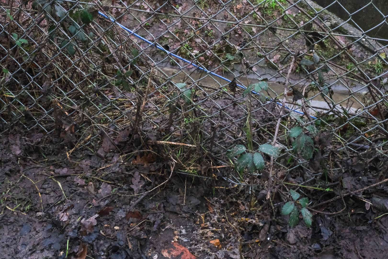 Photos taken of the raw sewage spill on Wednesday, January 4