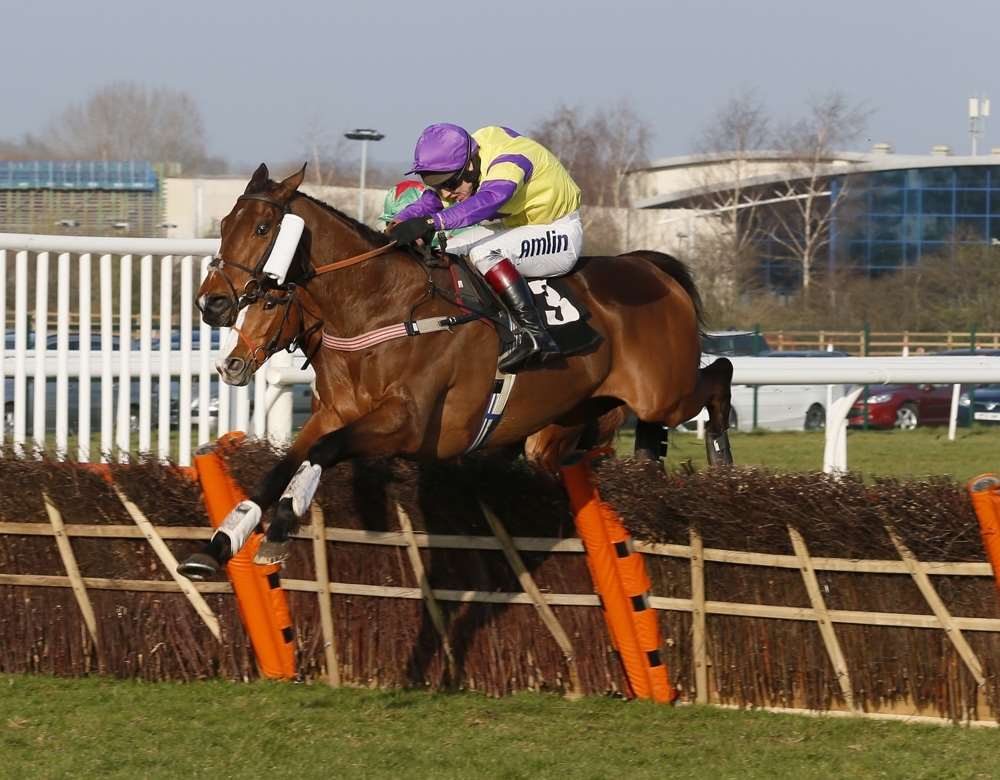 Gassin Golf is amongst the declarations for Saturday's Betfair Hurdle