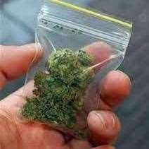 Cannabis