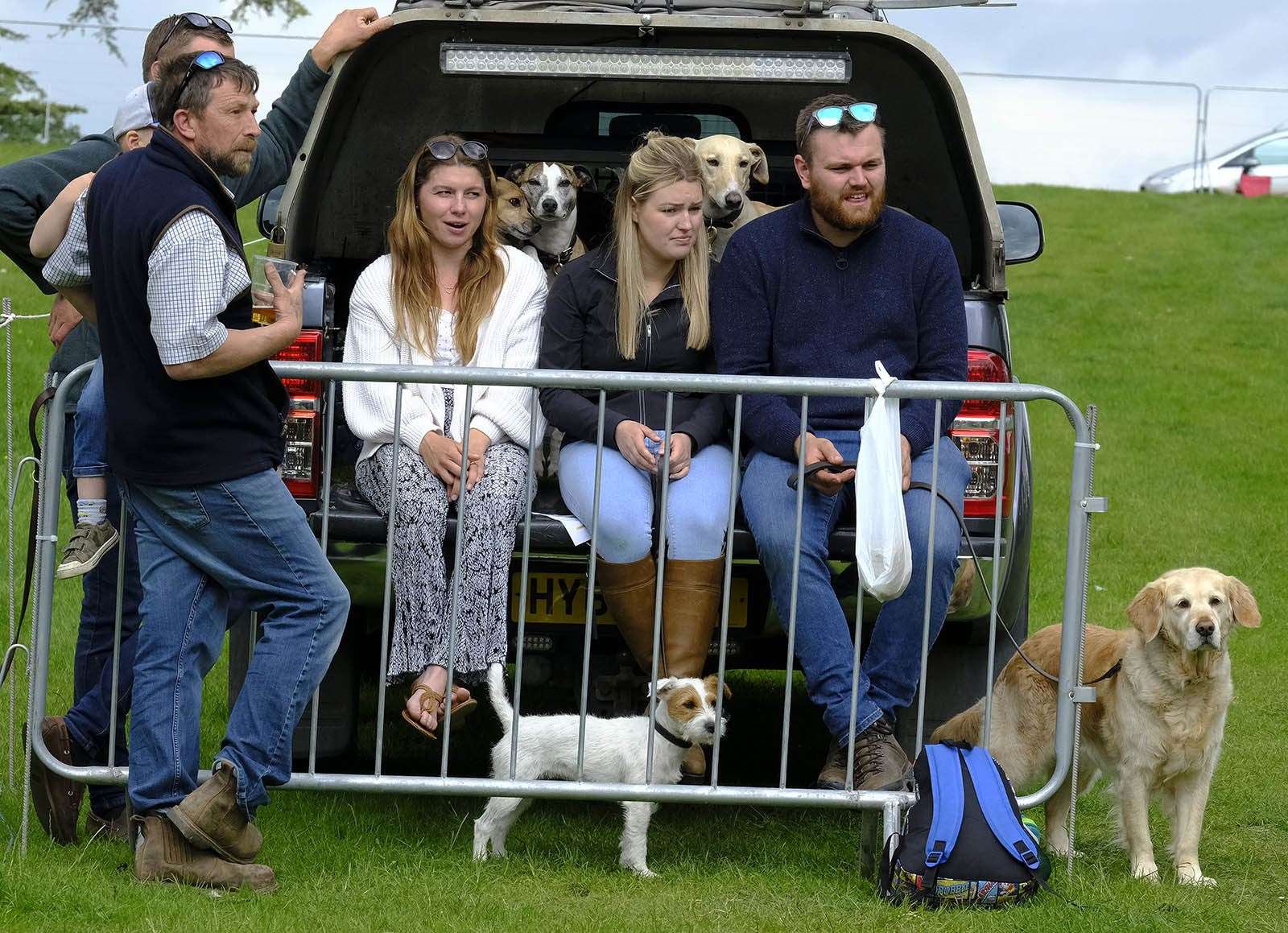 Great view of the lurcher judging