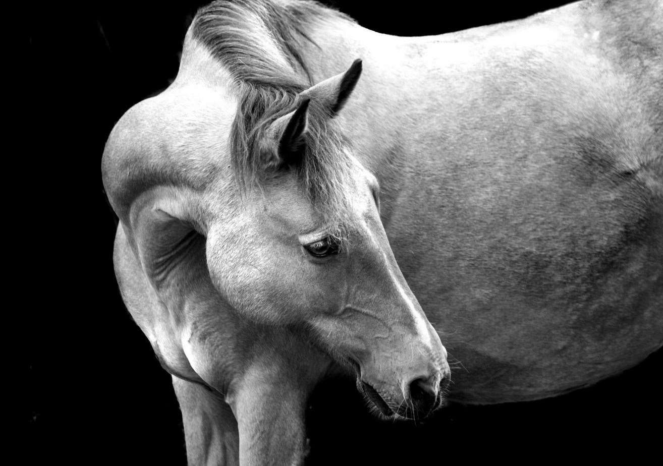Grey, Gina Robinson