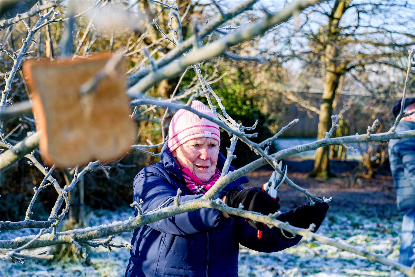 Wassail at the City Recreation Ground orchard in Newbury on January 11