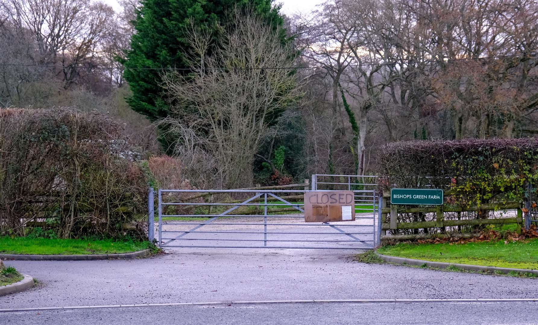 The proposed site in Bishops Green. (50621624)