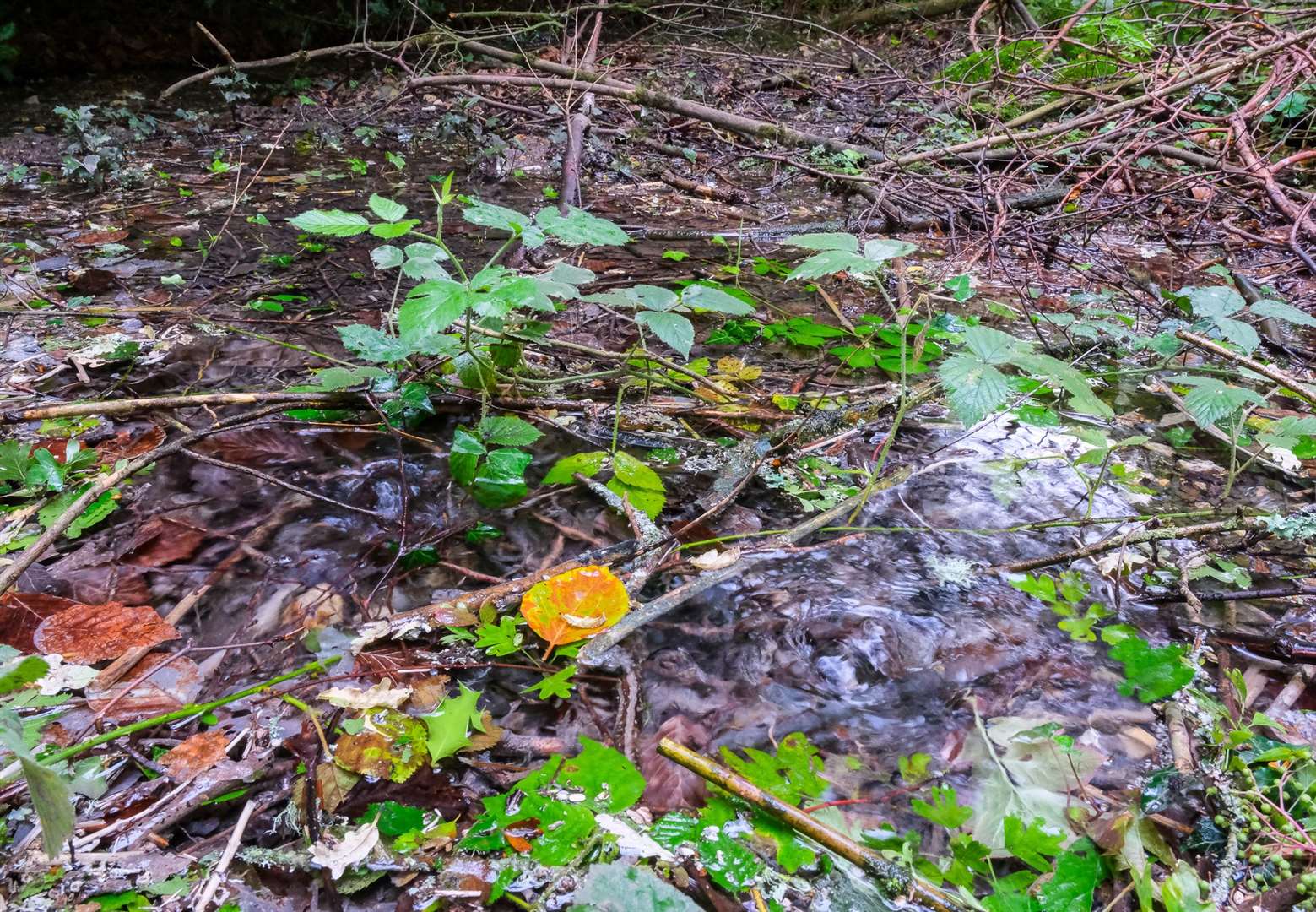 A pipe in Crookham Common has been leaking water for more than three months now