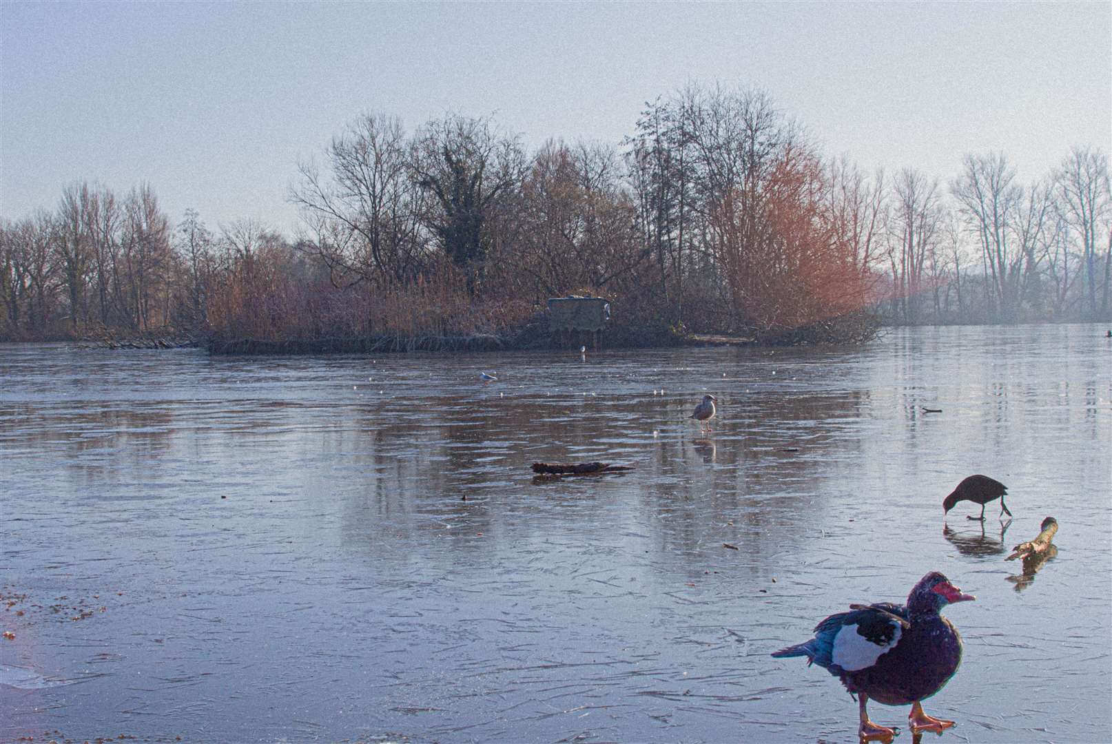 Thatcham Lakes by Stephen West