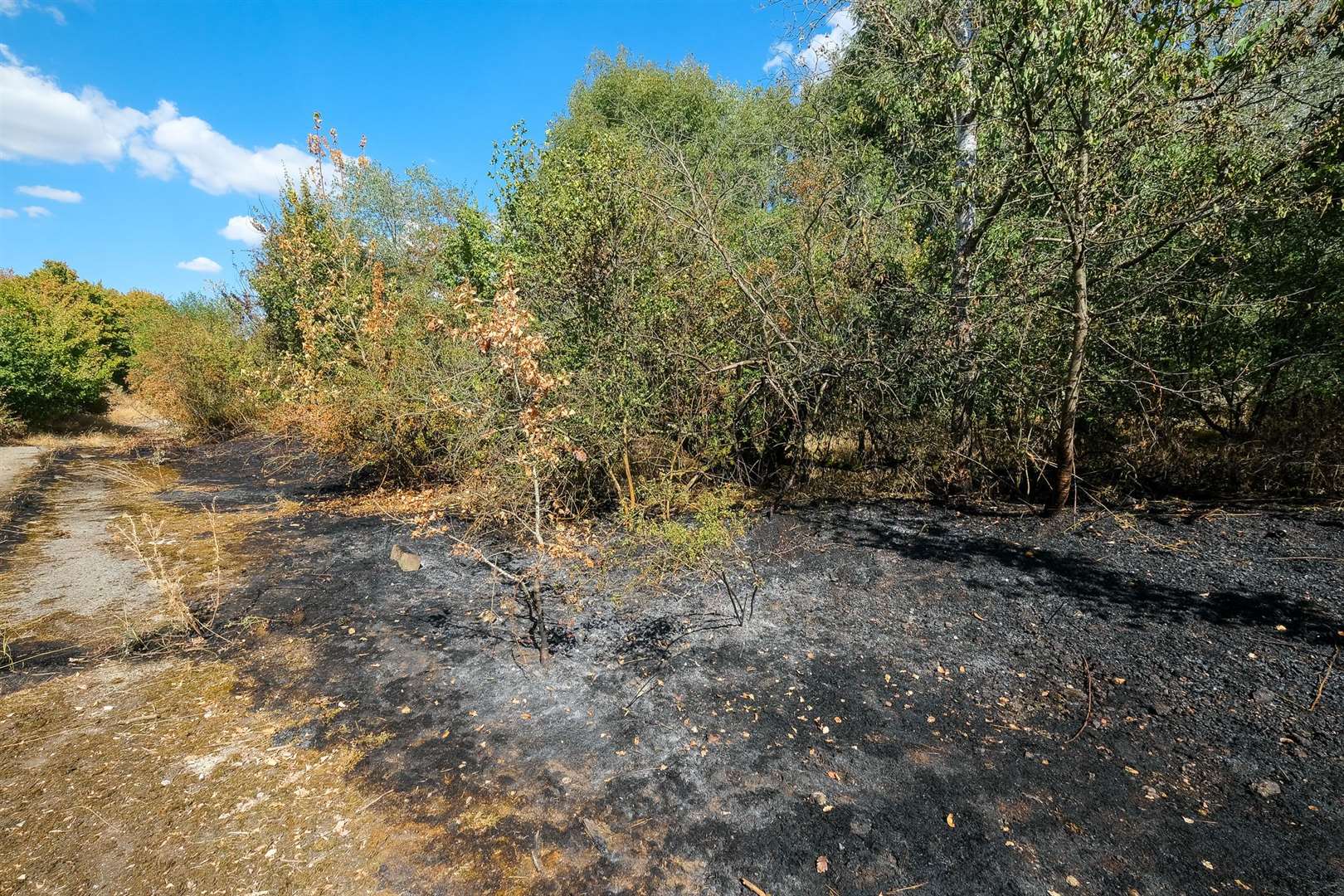 Fire in woods near Thatcham Nature Discovery Centre. (58513404)