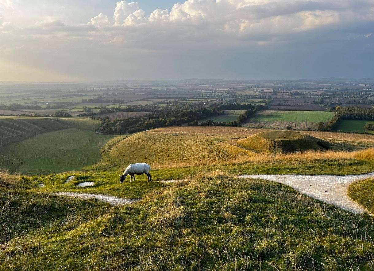 Swire Ridgeway art competition: After the Storm by Jessica Loeb, Overall and Photography Winner Swire Ridgeway Arts Prize