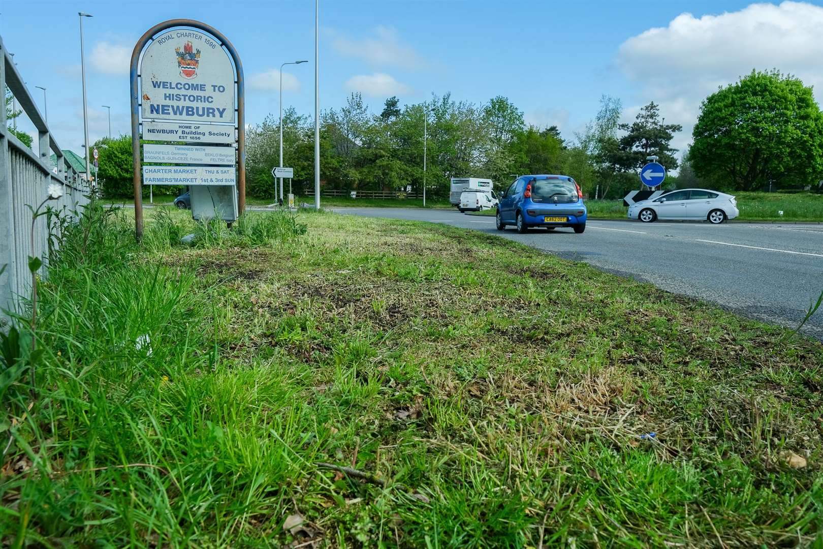 Wildflowers have been mown in error