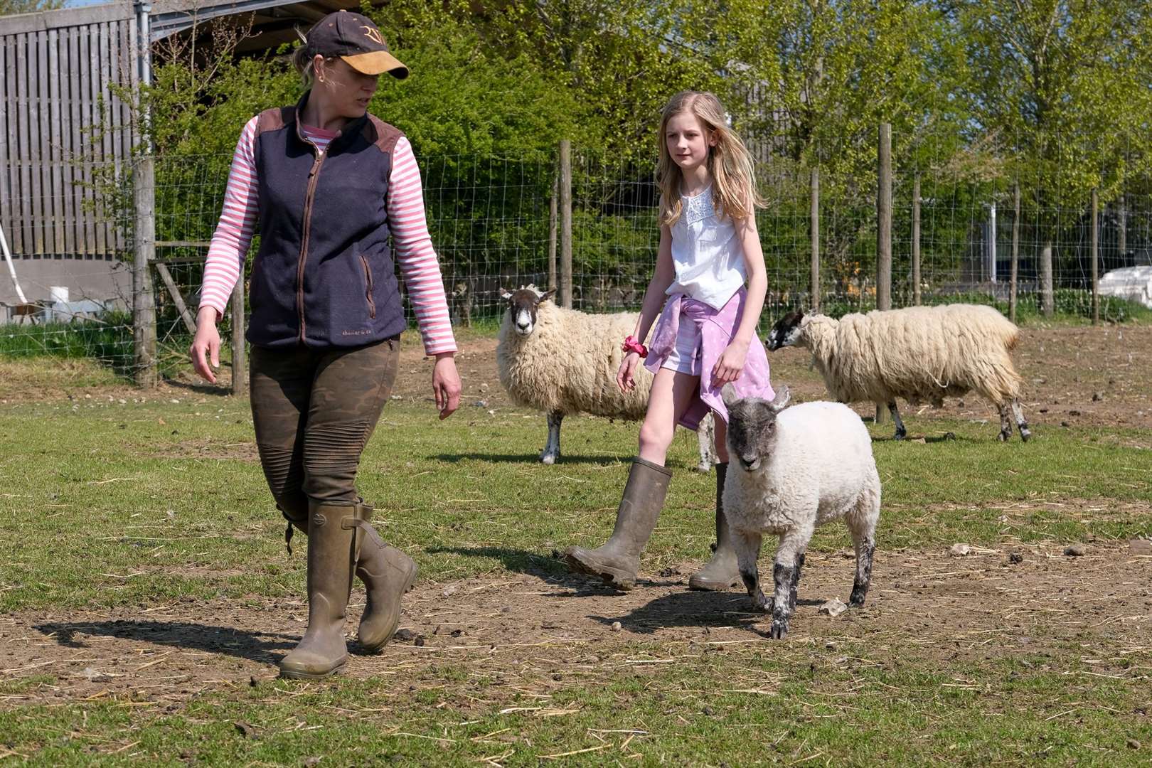 Bower Farm - Aldworth, Clover goes for a walk with Kate and Annabel age 10 Walters to check on the sheep Picture by Phil Cannings (46429069)