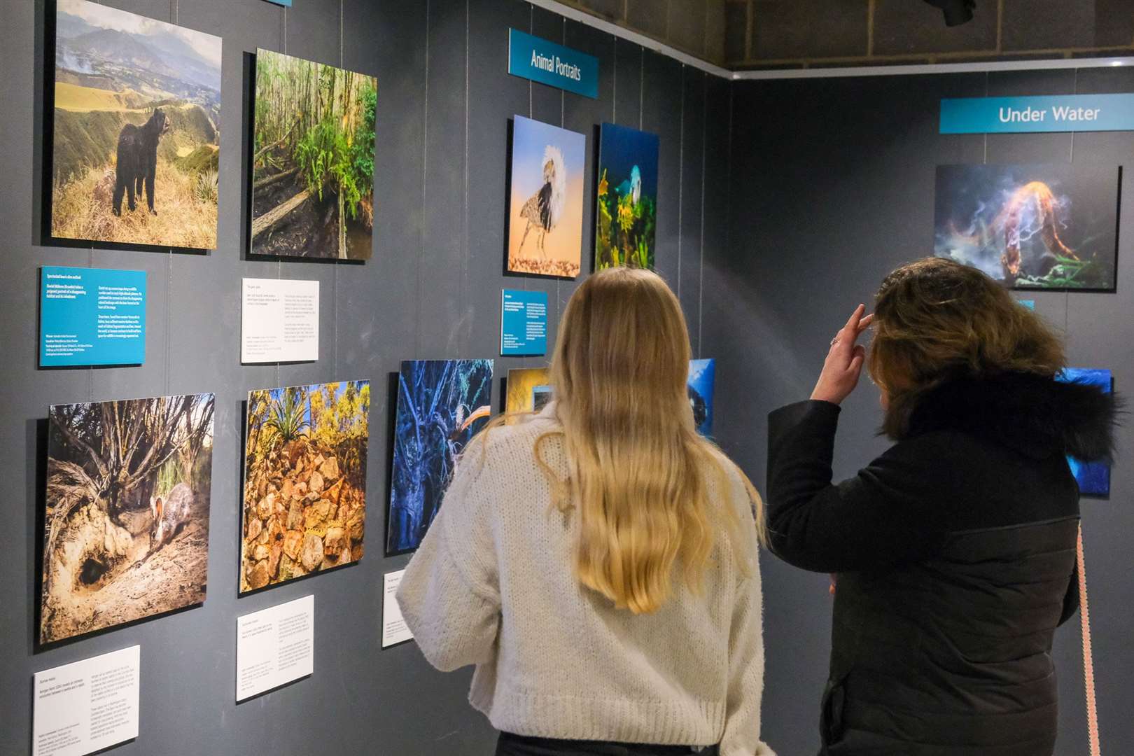 Wildlife Photographer of the Year exhibition at The Base