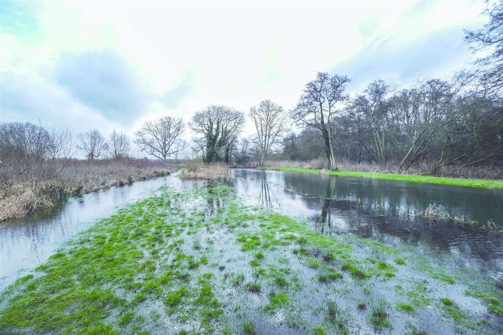 The flooded waters at Barton Court