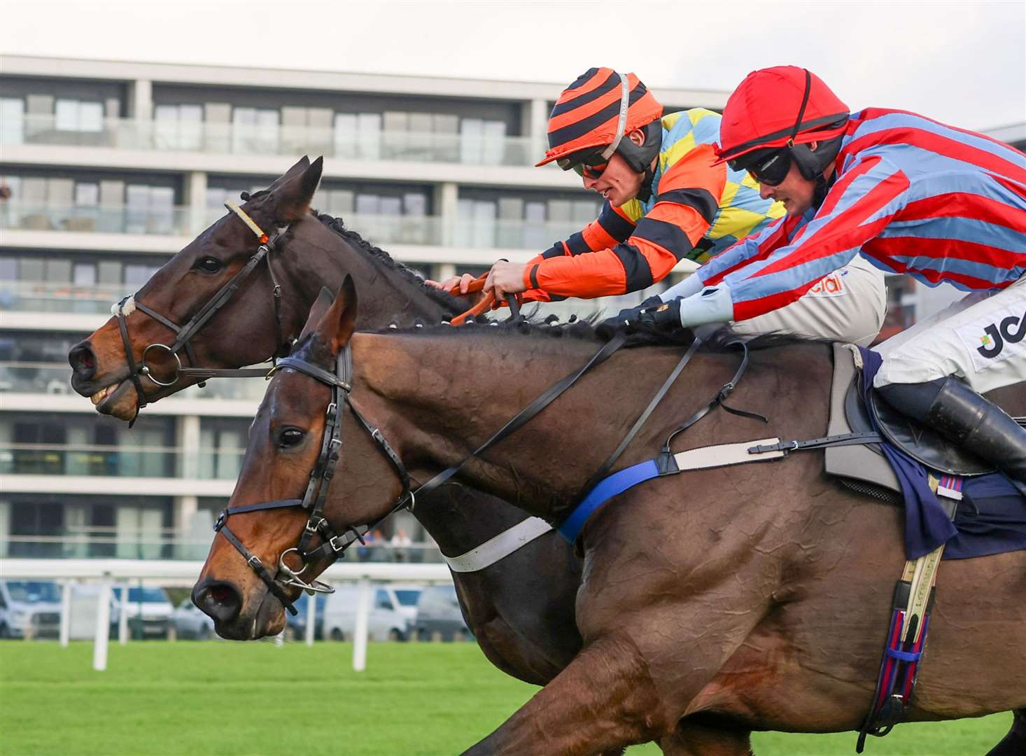 Coral Sir Peter O'Sullevan Memorial Handicap Chase - Wiseguy