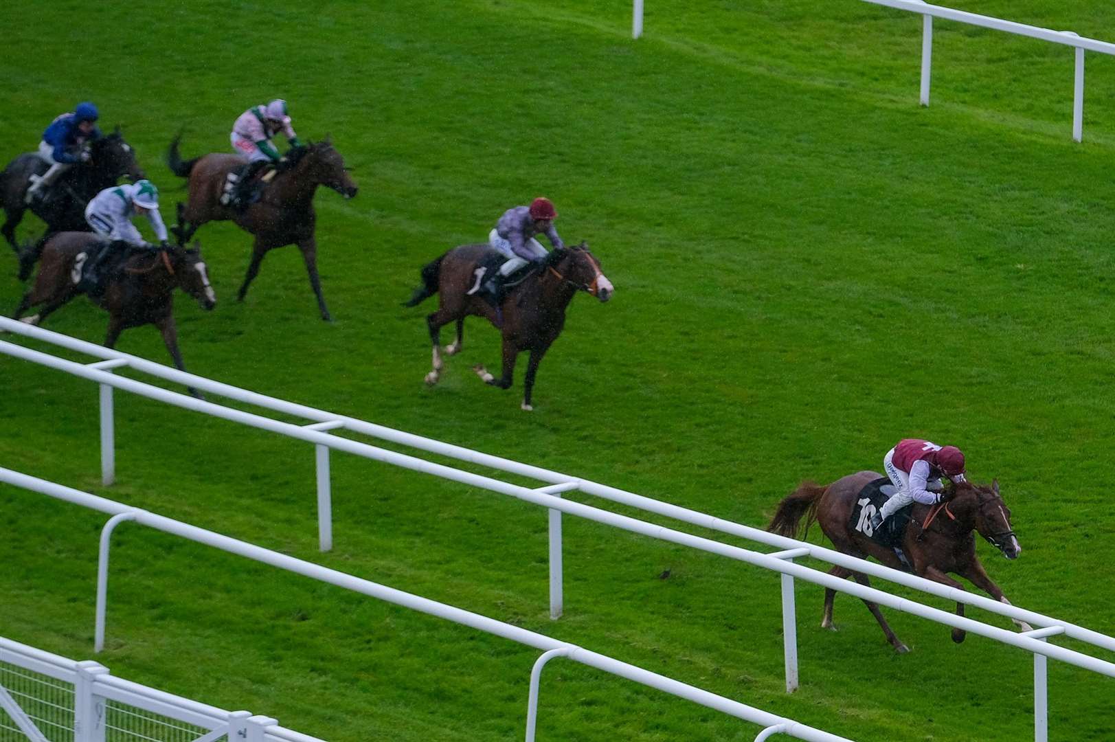150/1 outsider Zoulu Chief causes a huge upset