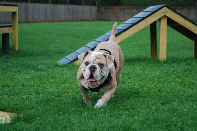 Winston