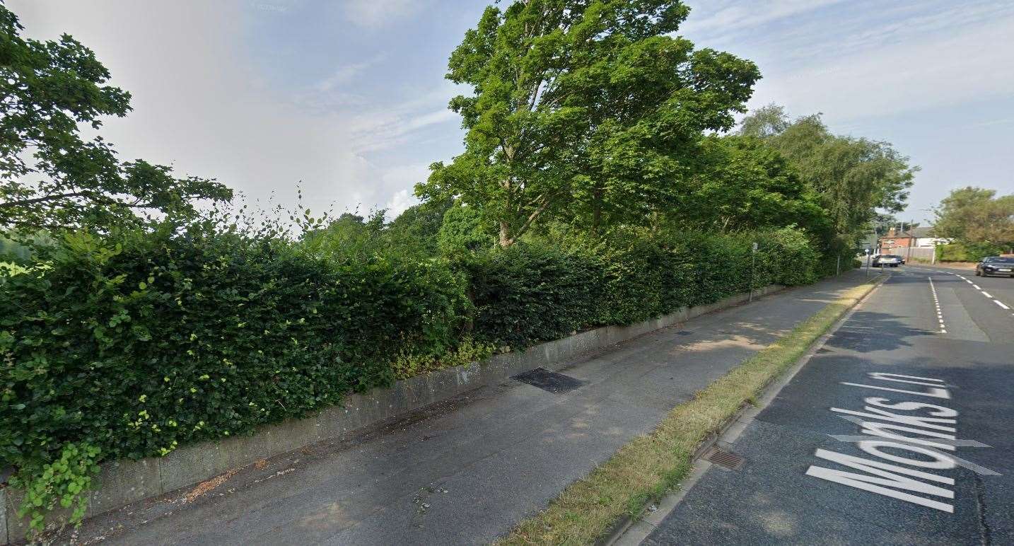 The Monks Lane hedgerow before it was destroyed, credit: Google Maps