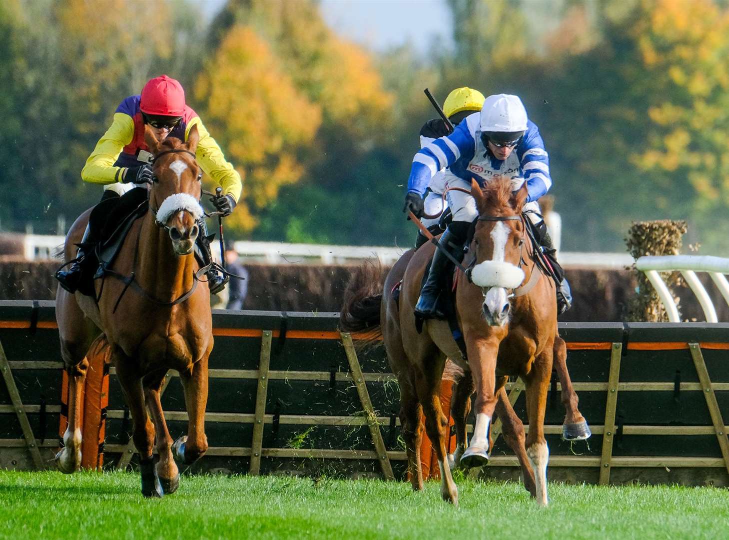 Siroco Jo got the ball rolling for Paul Nicholls at Newbury