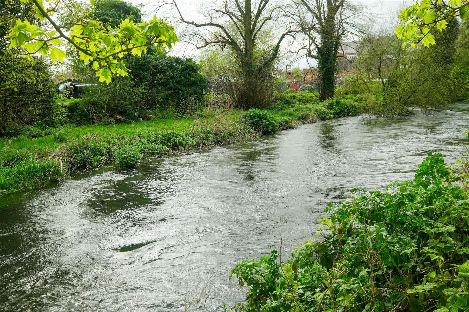 River Kennet in Newbury
