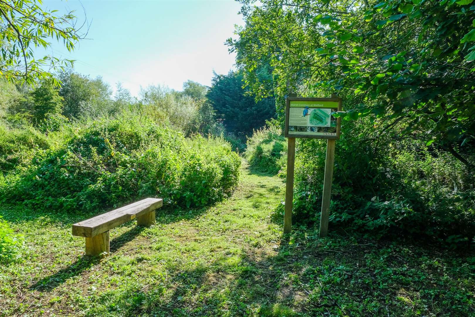 The other bench on the common