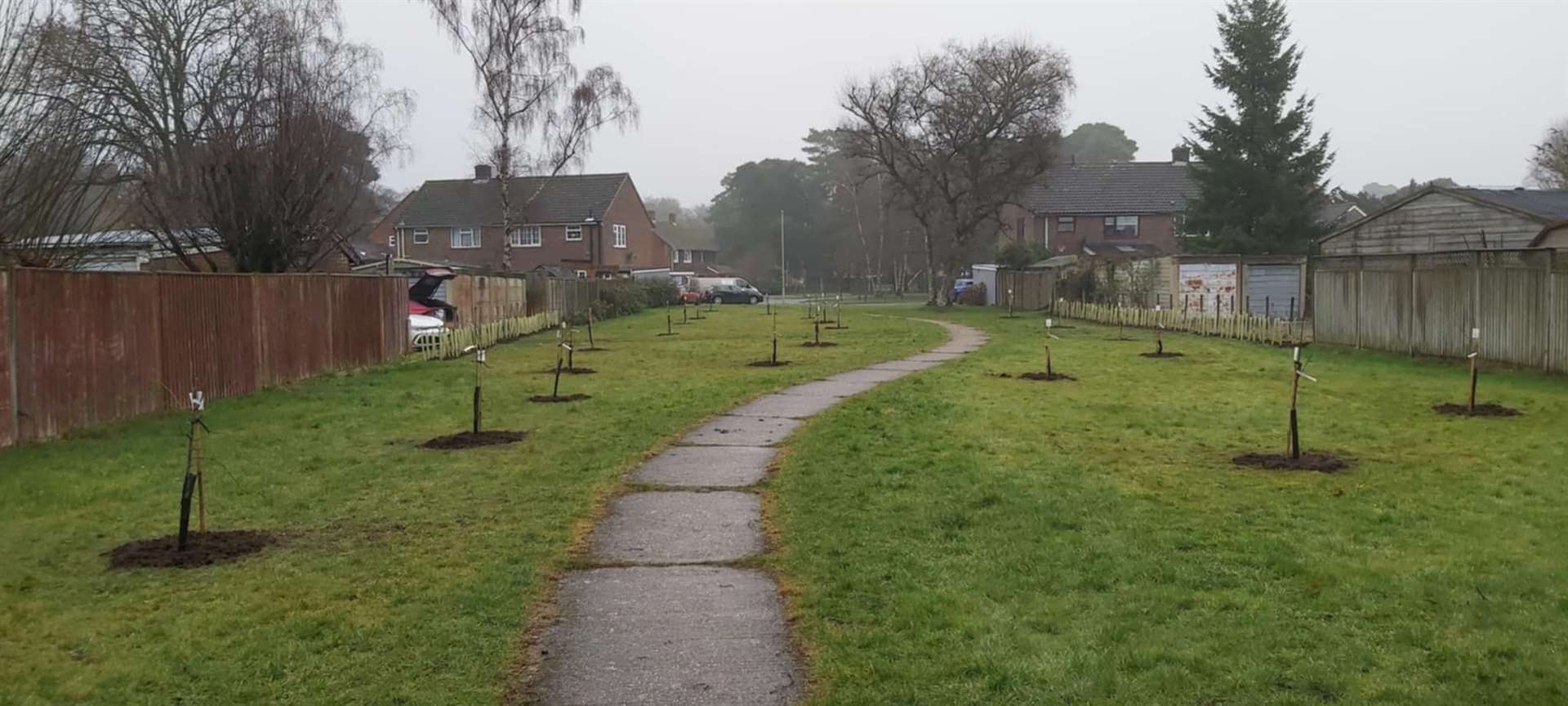Over 50 Baughurst residents came together to plant a community orchard at Long Grove on February 8