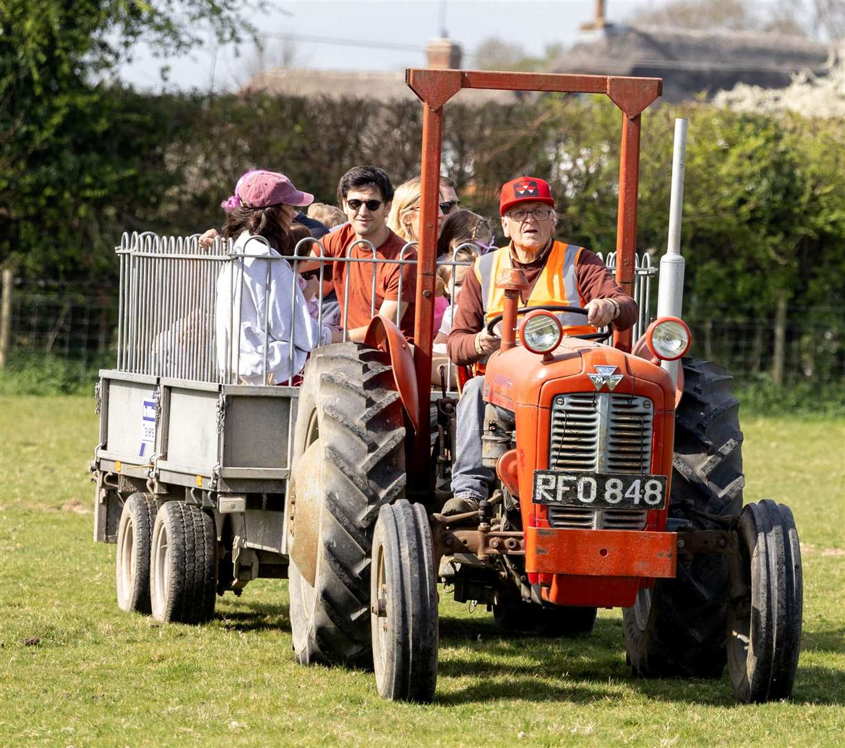 Lambing day at Foxglove Farm - Tractor Rides