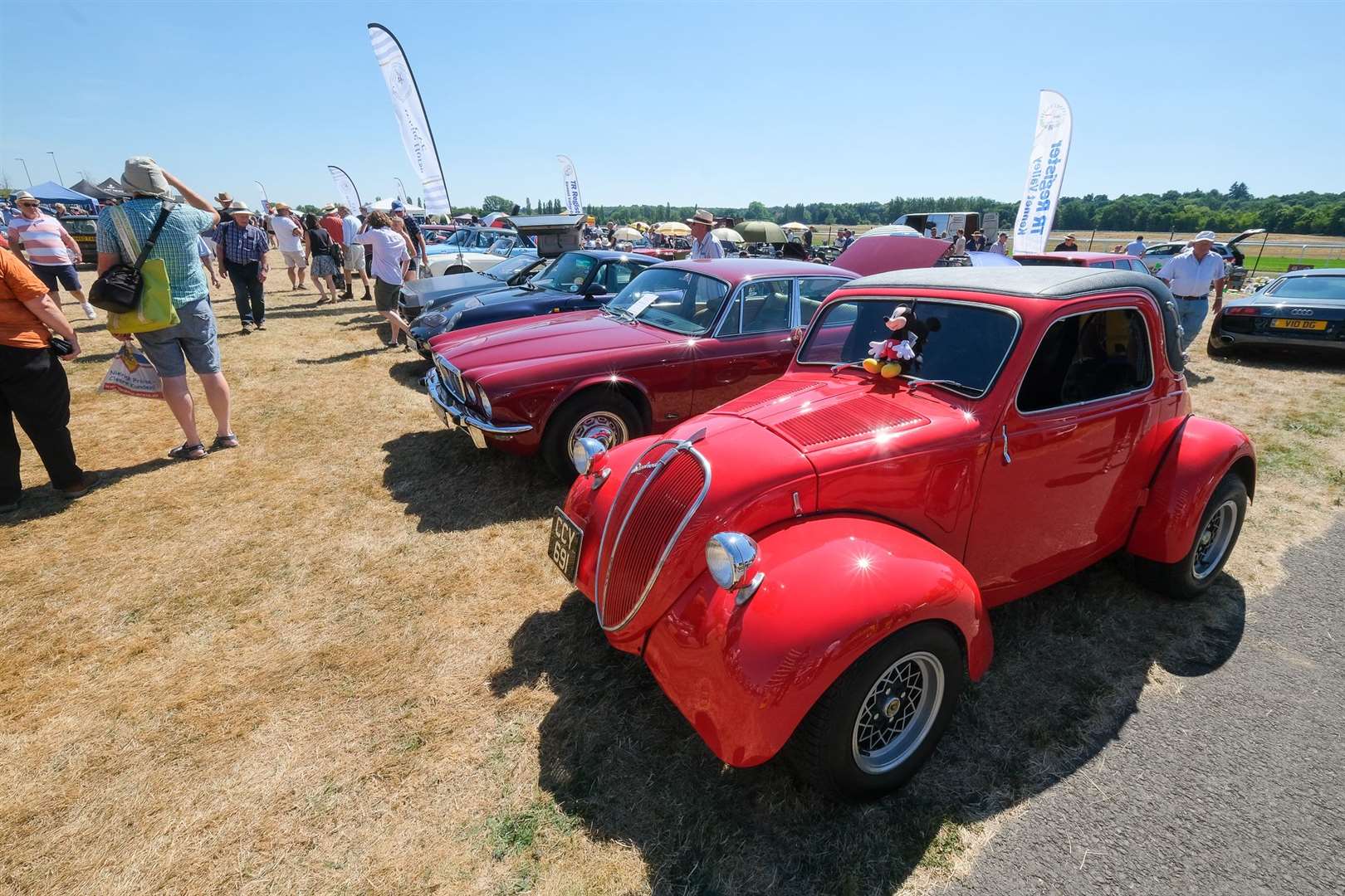 West Berkshire Classic Car show at Newbury Racecourse (58686663)