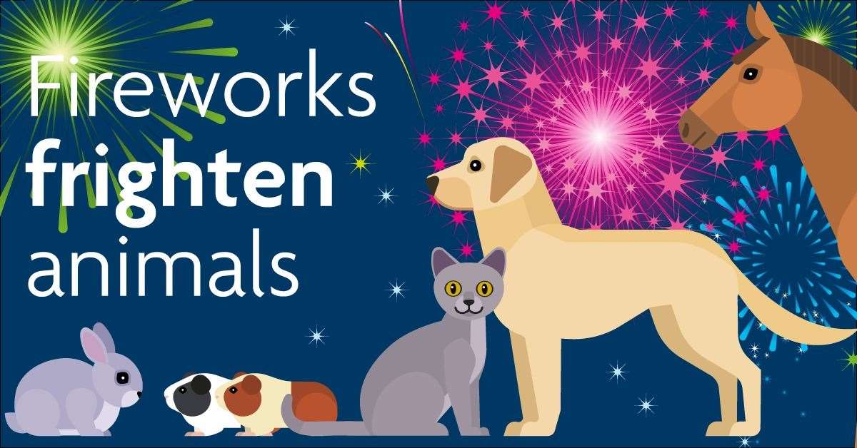 RSPCA raising awareness of how animals are affected by fireworks