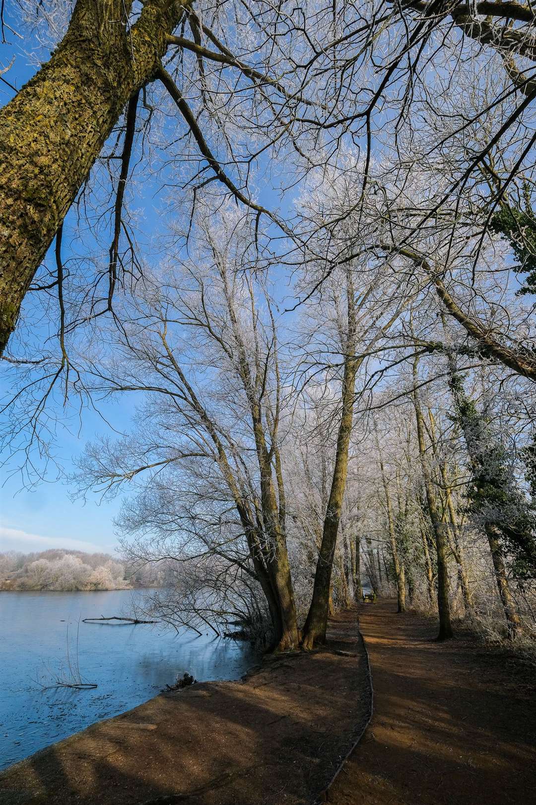 Thatcham's Nature Discovery Centre
