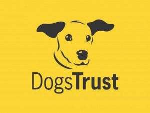 Dogs Trust is proposing changes to the way it operates
