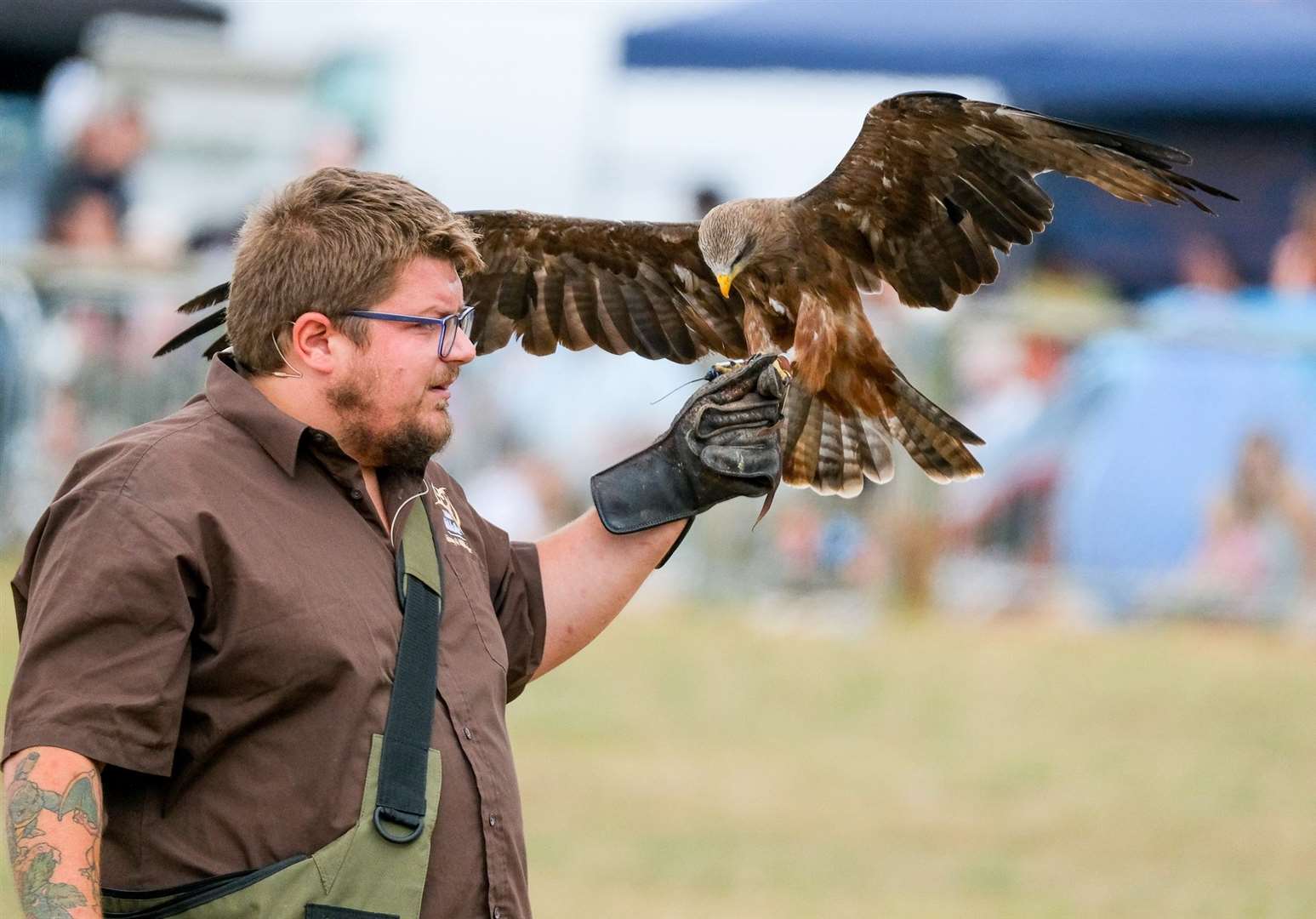 Millets Falconry