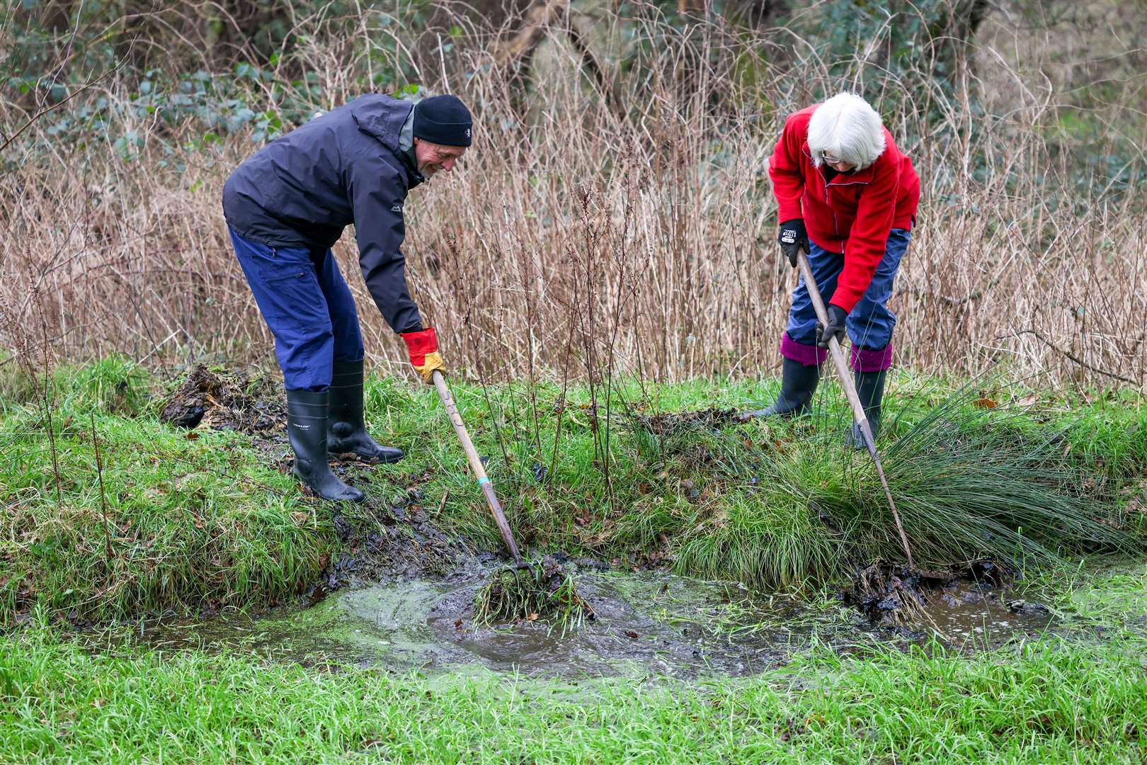 Audrey's meadow - Pond clearance