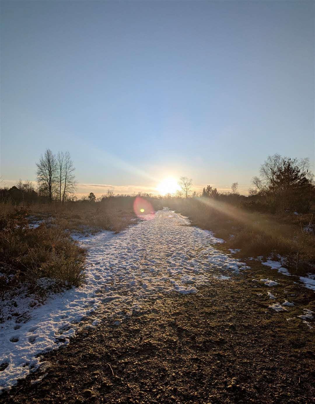 Snelsmore Common by Nicola Creaton